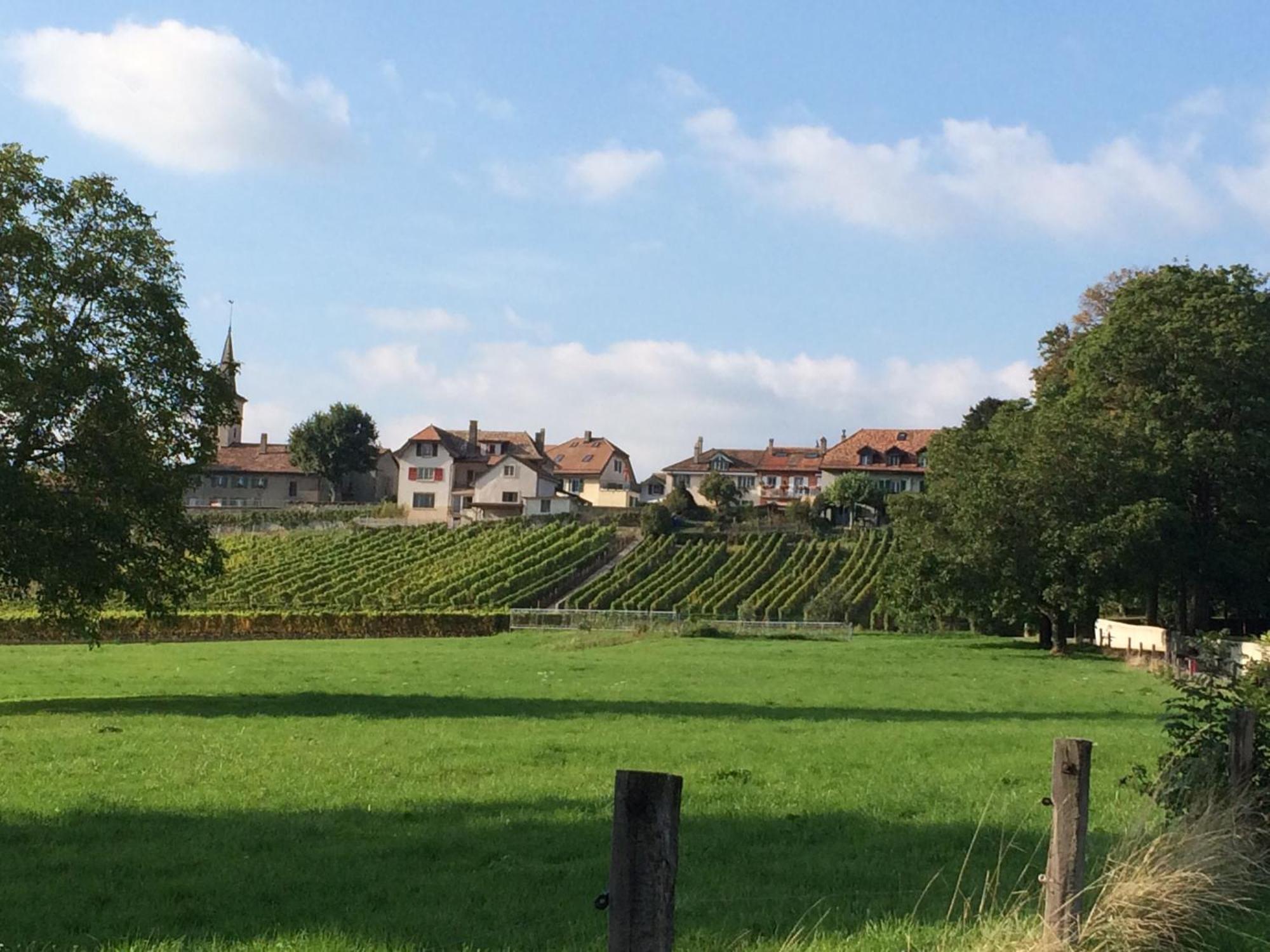 Le Chateau Lavigny Bagian luar foto