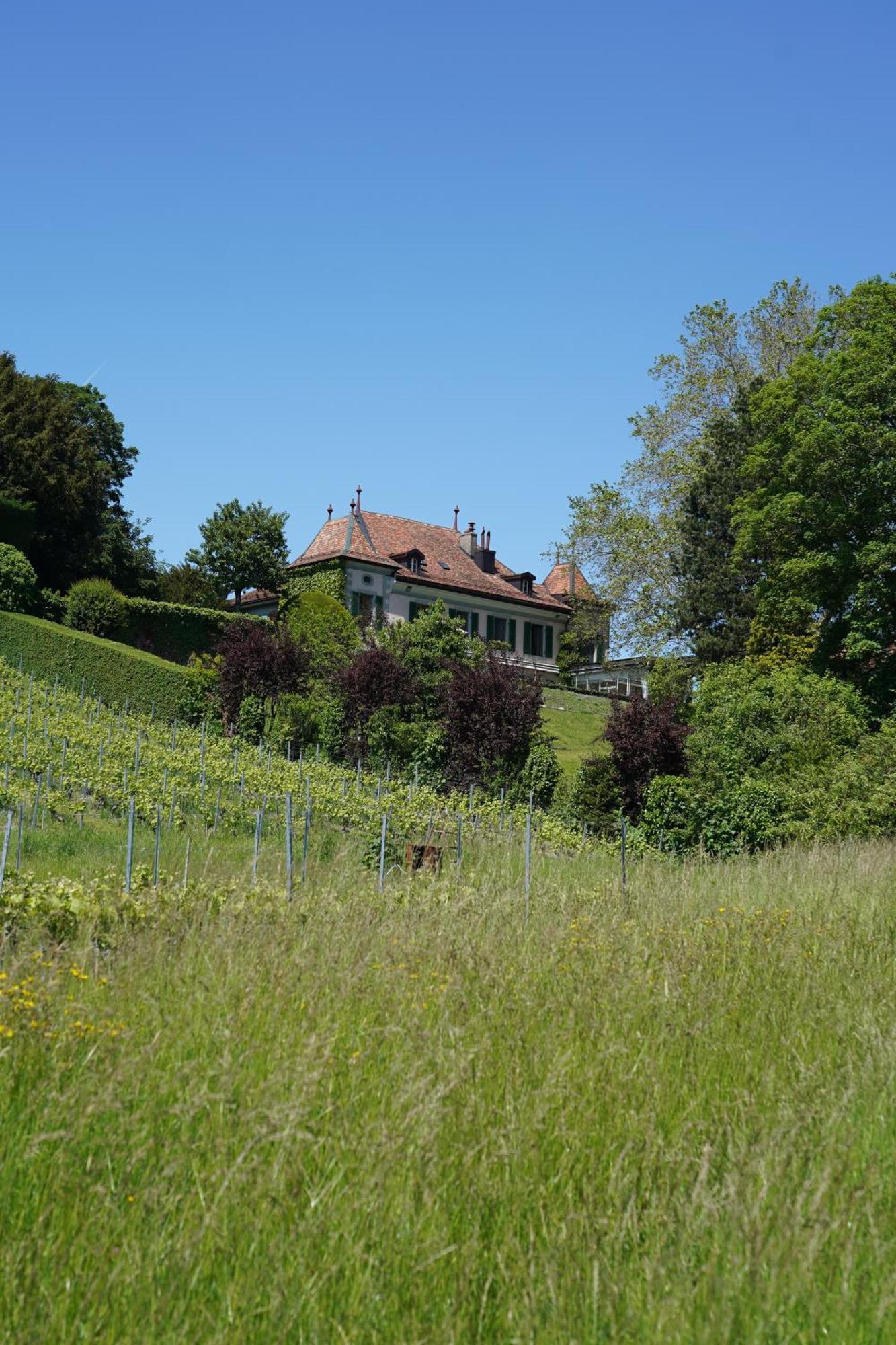 Le Chateau Lavigny Bagian luar foto